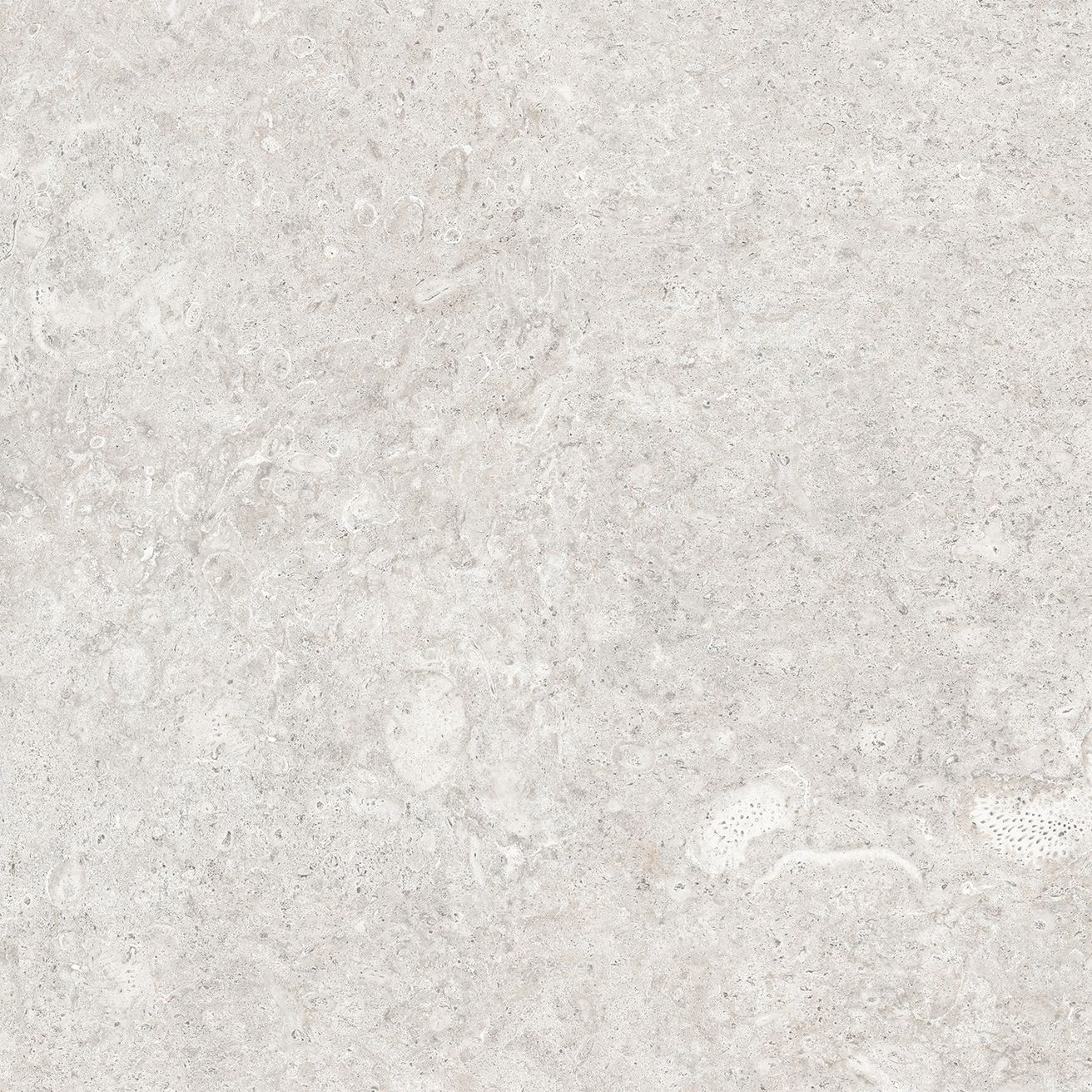 EBS Coralstone dlažba 60x60 perla matná - galéria #14