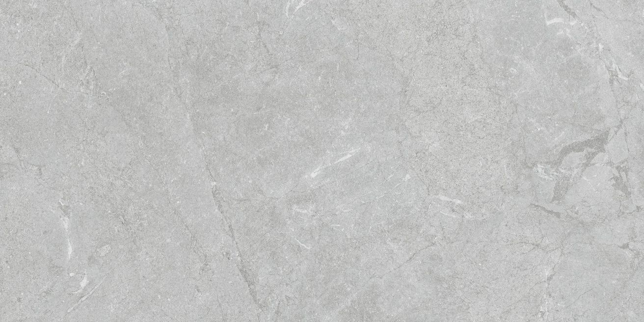 EBS Constanza dlažba 60x120 gray matná - galéria #2
