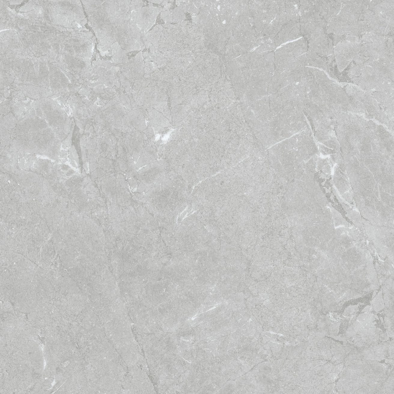 EBS Constanza dlažba 100x100 gray matná - galéria #4