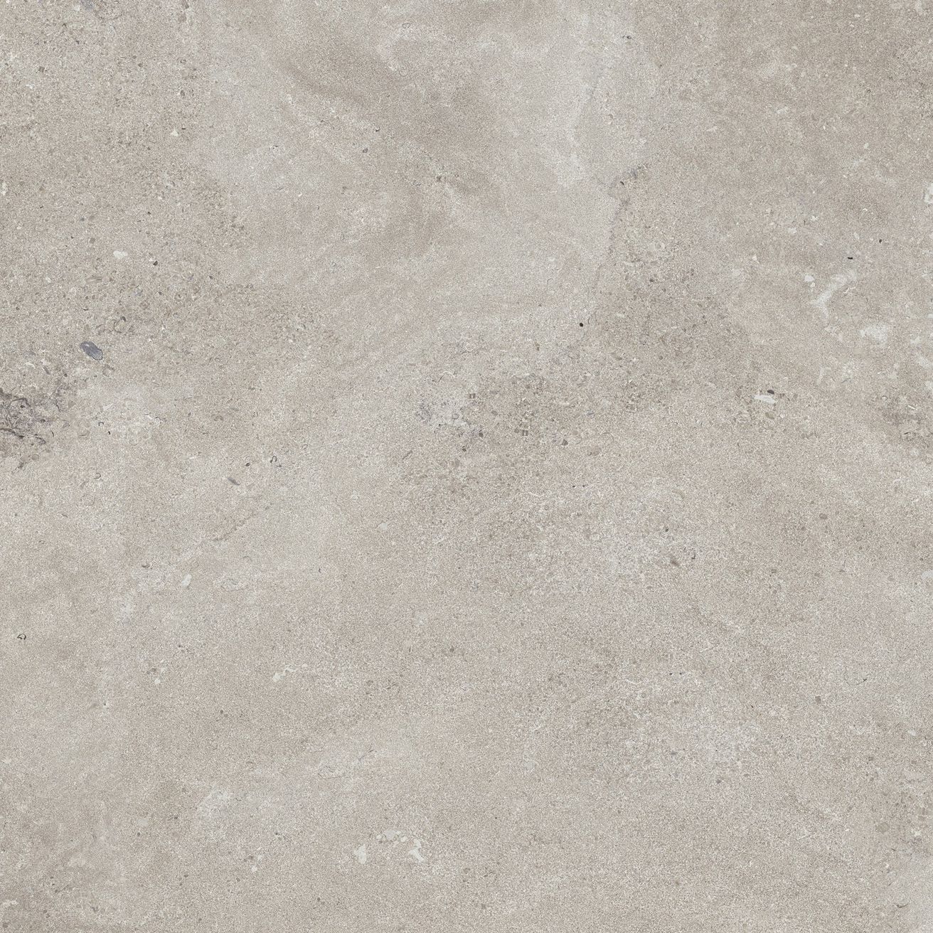 EBS Portlandstone dlažba 100x100 gris matná - galéria #2