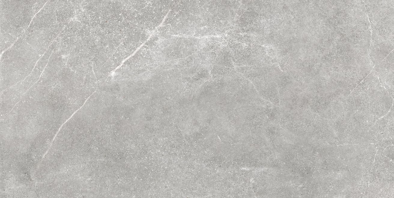 EBS Soapstone dlažba 60x120 strieborná lesklá - galéria #5