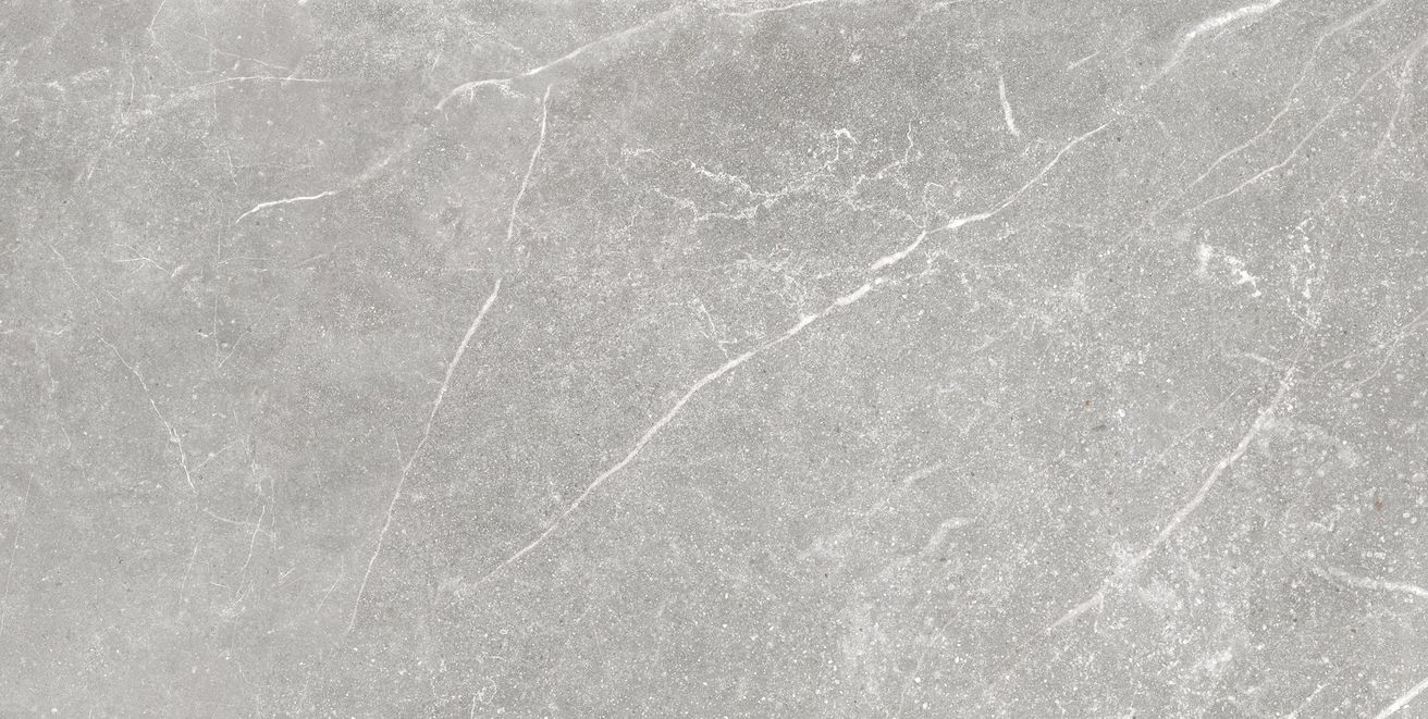 EBS Soapstone dlažba 60x120 strieborná lesklá - galéria #1