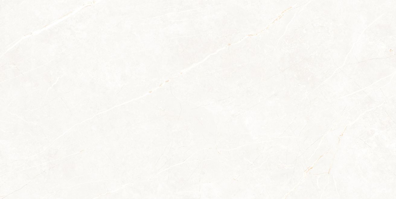 EBS Elit dlažba 60x120 white matná - galéria #5