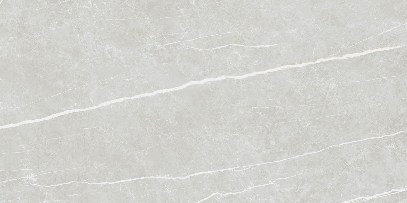 EBS Elit dlažba 60x120 silver matná - galéria #1