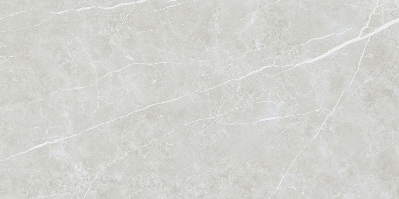 EBS Elit dlažba 60x120 silver lesklá - galéria #2