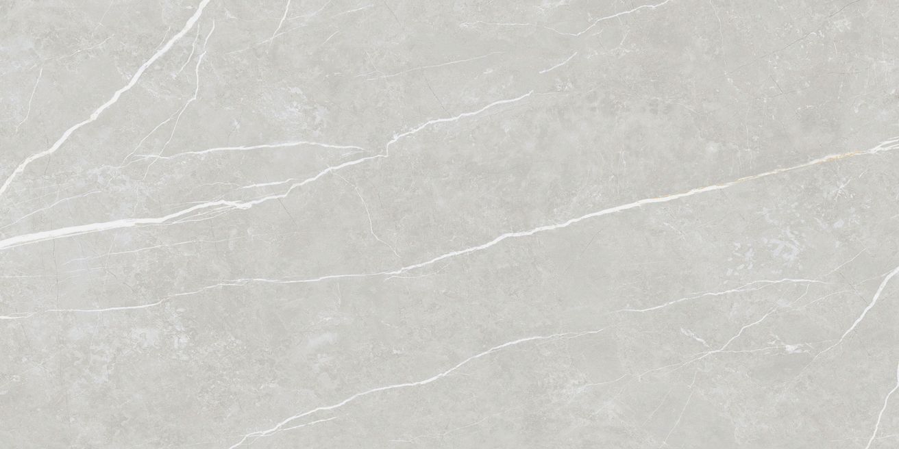 EBS Elit dlažba 60x120 silver lesklá - galéria #4