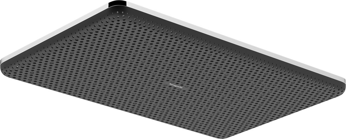 Hansgrohe Raindance Alive Q Hlavová sprcha 34x21 cm, EcoSmart, 1jet, chróm 24531000