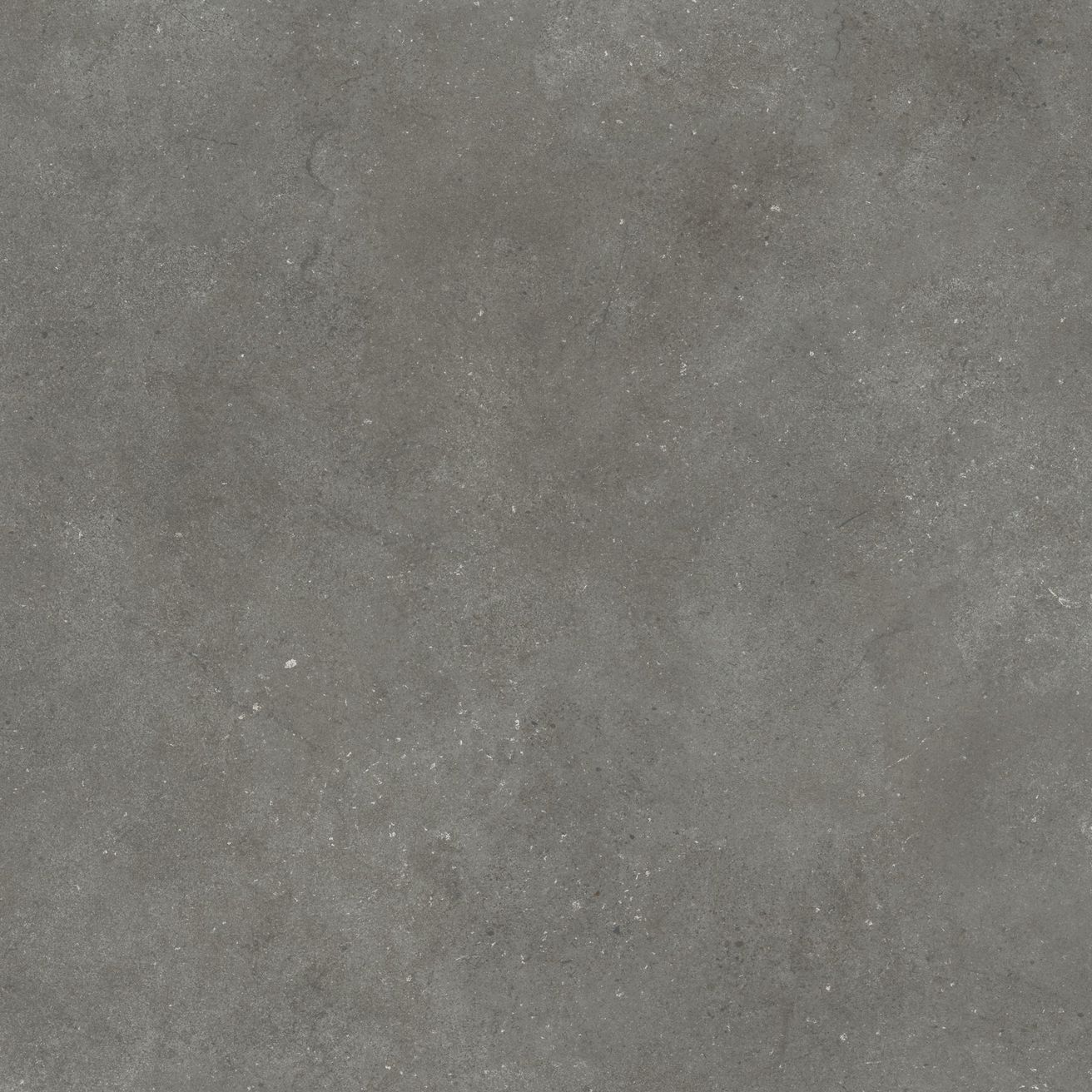 EBS Smooth Rockstone dlažba 60x60 grey mat rekt.
