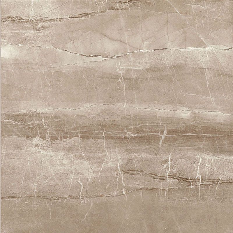 EBS Adonis dlažba 60x60 taupe lesklá