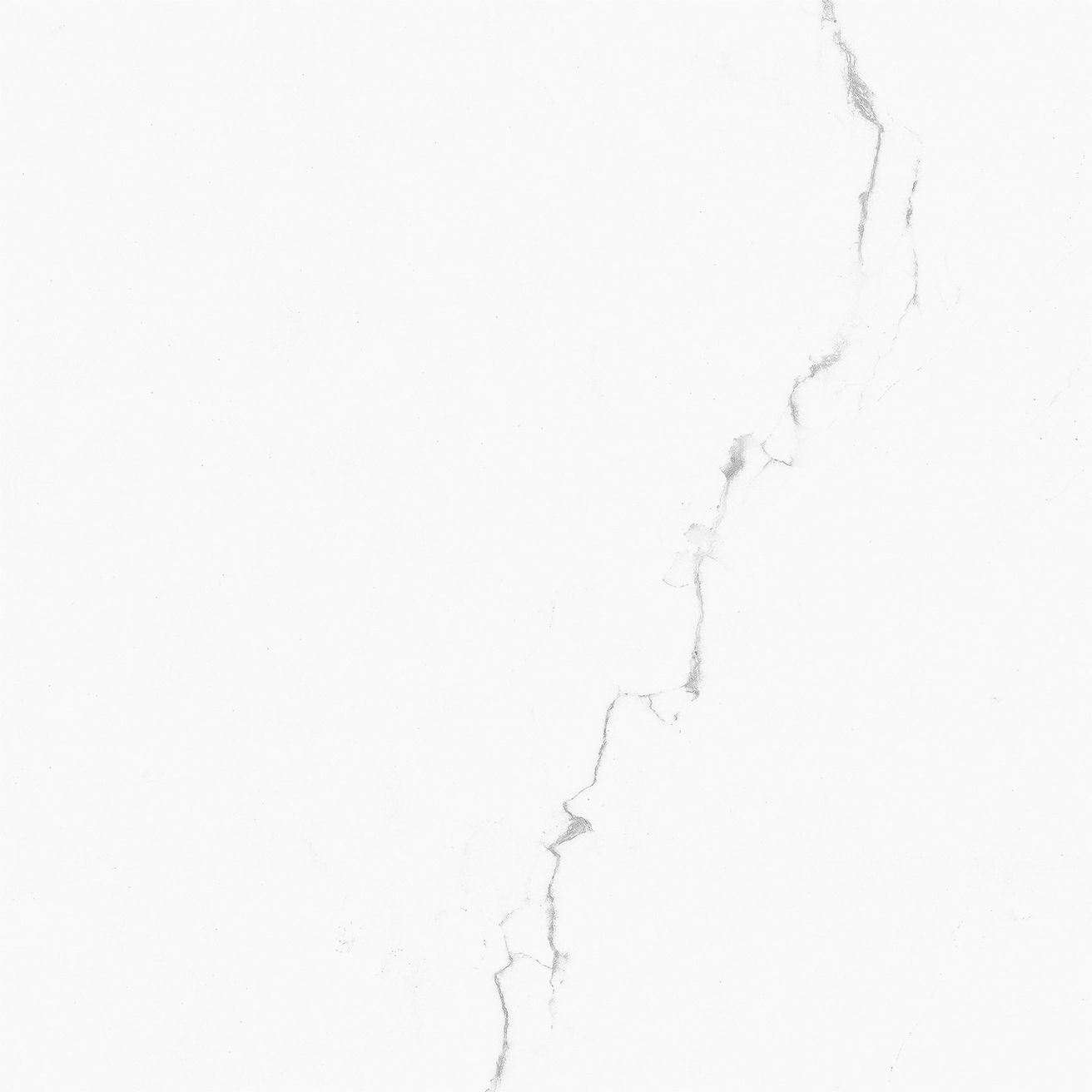 EBS Atmos dlažba 60,8x60,8 white matná