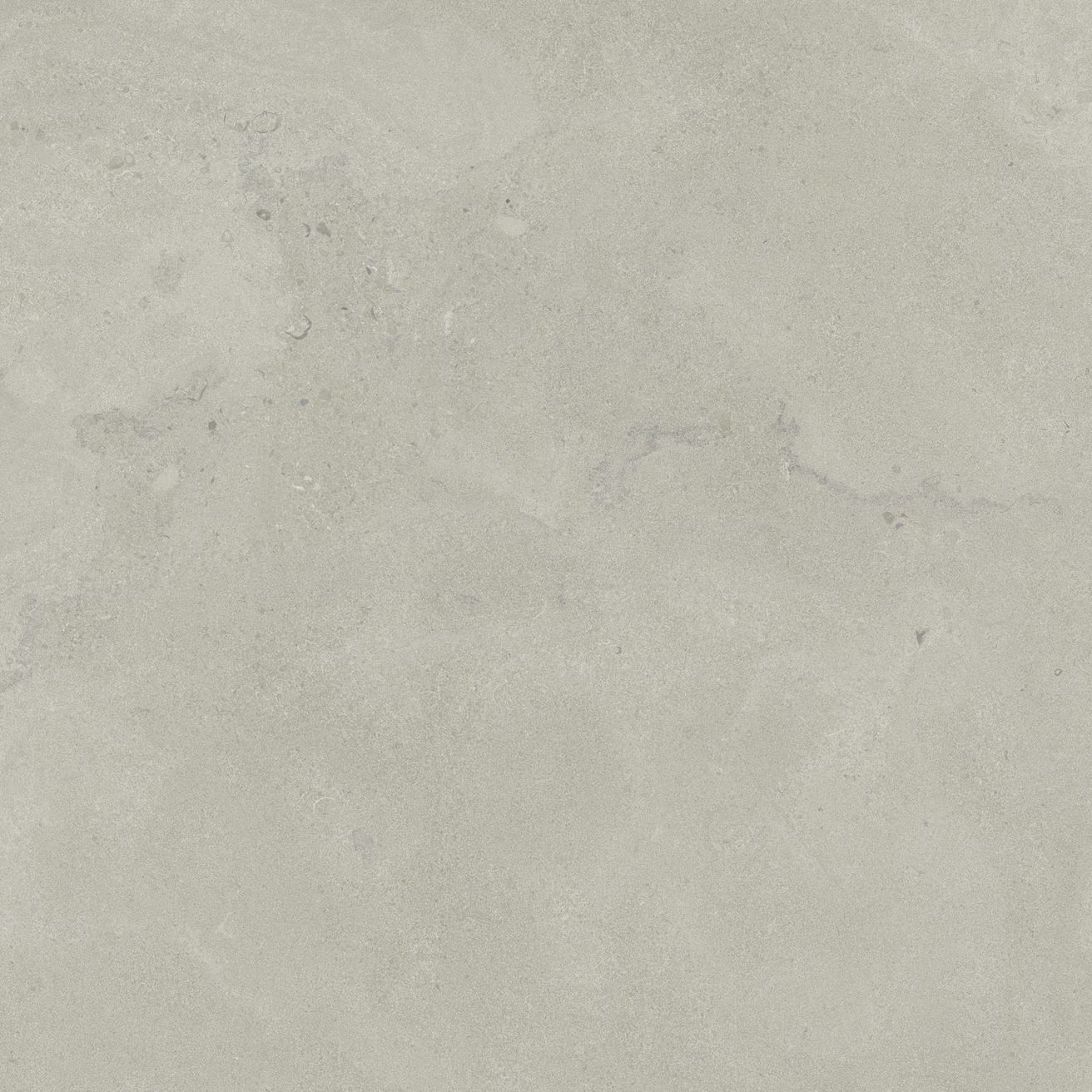 EBS Portlandstone dlažba 60x60 gris matná