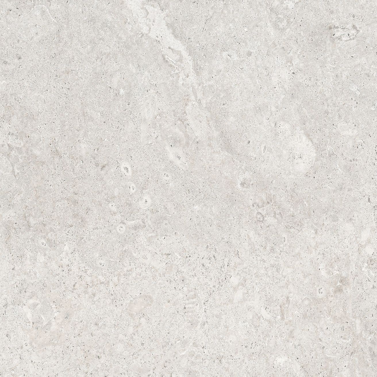 EBS Coralstone dlažba 60x60 perla matná