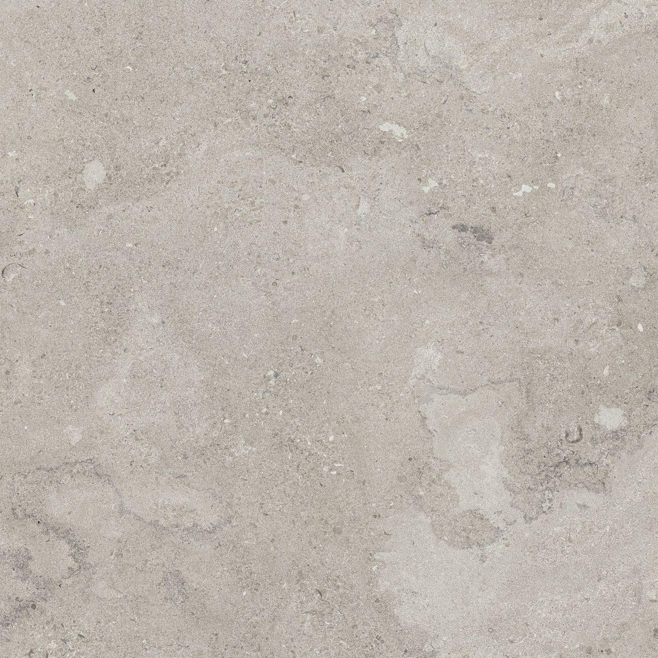 EBS Portlandstone dlažba 100x100 gris matná