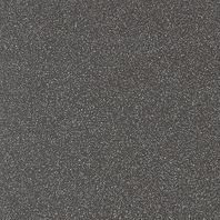 Rako Taurus Granite TAA25069 dlaždica 19,8x19,8 čierna 8 mm ABS