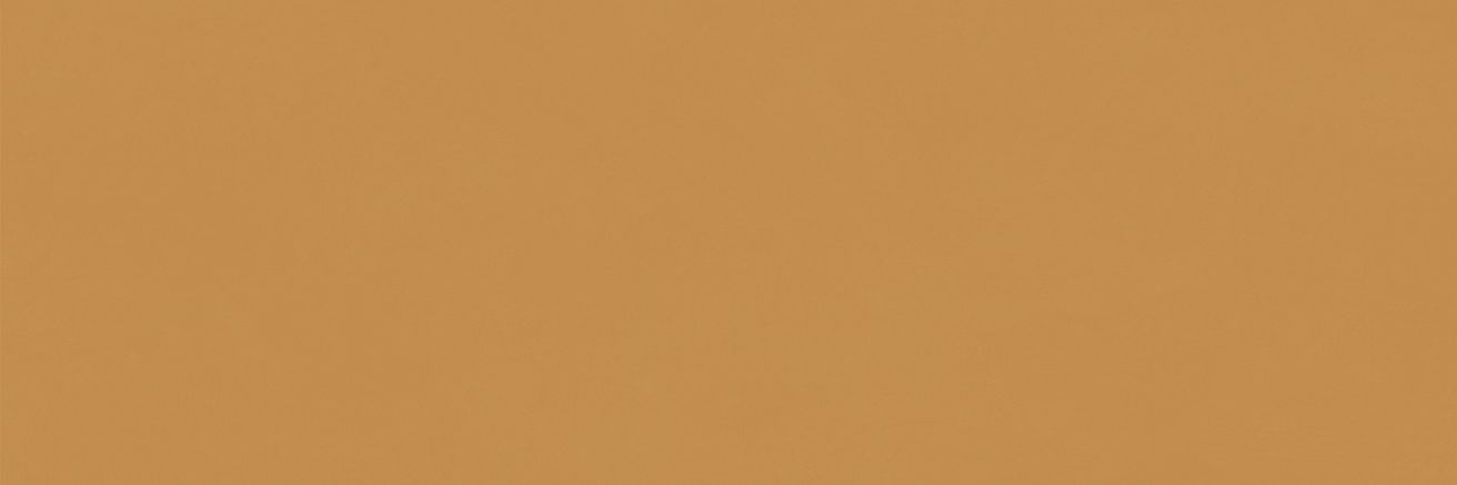 EBS Chromatic obklad 33,3x100 honey matný