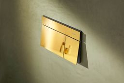 Hansgrohe iFrame Element E Ovládacie tlačidlo, zlatá lesklá 66003990 - galéria #1