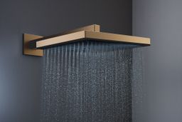 Hansgrohe Sprchová hlavica Pulsify E 26 cm, brúsený bronz 24330140 - galéria #2