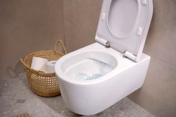 Hansgrohe EluPura S Odnímateľné záchodové sedadlo, biele 60196450 - galéria #2