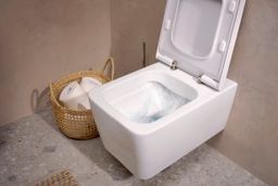 Hansgrohe Závesný klozet EluPura Q AquaFall so sedadlom SoftClose, biely SmartClean 61117450 - galéria #5