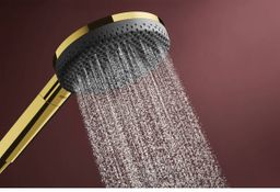 Hansgrohe Raindance Alive Select S, Ručná sprcha 12,5 cm, 3jet, zlatá lesklá 24500990 - galéria #2