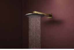 Hansgrohe Raindance Alive S Hlavová sprcha s bočným ramenom, 30 cm, 2jet, zlatá lesklá 24540990 - galéria #2