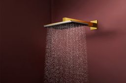 Hansgrohe Raindance Alive Q Hlavová sprcha 34x21 cm, 2jet, s ramenom, zlatá lesklá 24550990 - galéria #1