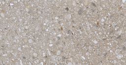 EBS Match Up dlažba 30x60 earl grey mix matná rec. - galéria #1