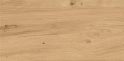 EBS Ashwood dlažba 29,7x59,8 beige - galéria #1