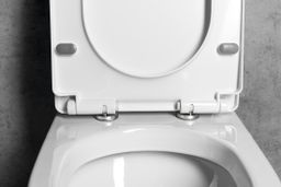 Aqualine Vermet WC sedátko Soft Close odnímatelné, bílá VRS008 - galéria #1