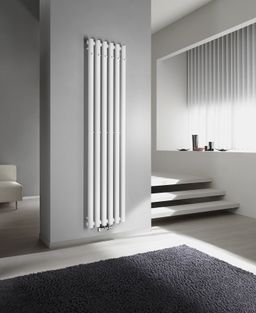 Sapho Pilon IZ131T Radiátor kombinovaný, 41,8x180 cn, bílá mat - galéria #1