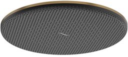 Hansgrohe Raindance Alive S Hlavová sprcha, 30 cm, 1jet, kartáčovaný bronz 24520140