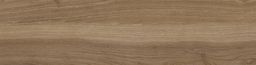 EBS Legno dlaždice 25x100