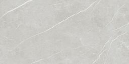 EBS Elit dlažba 60x120 silver matná