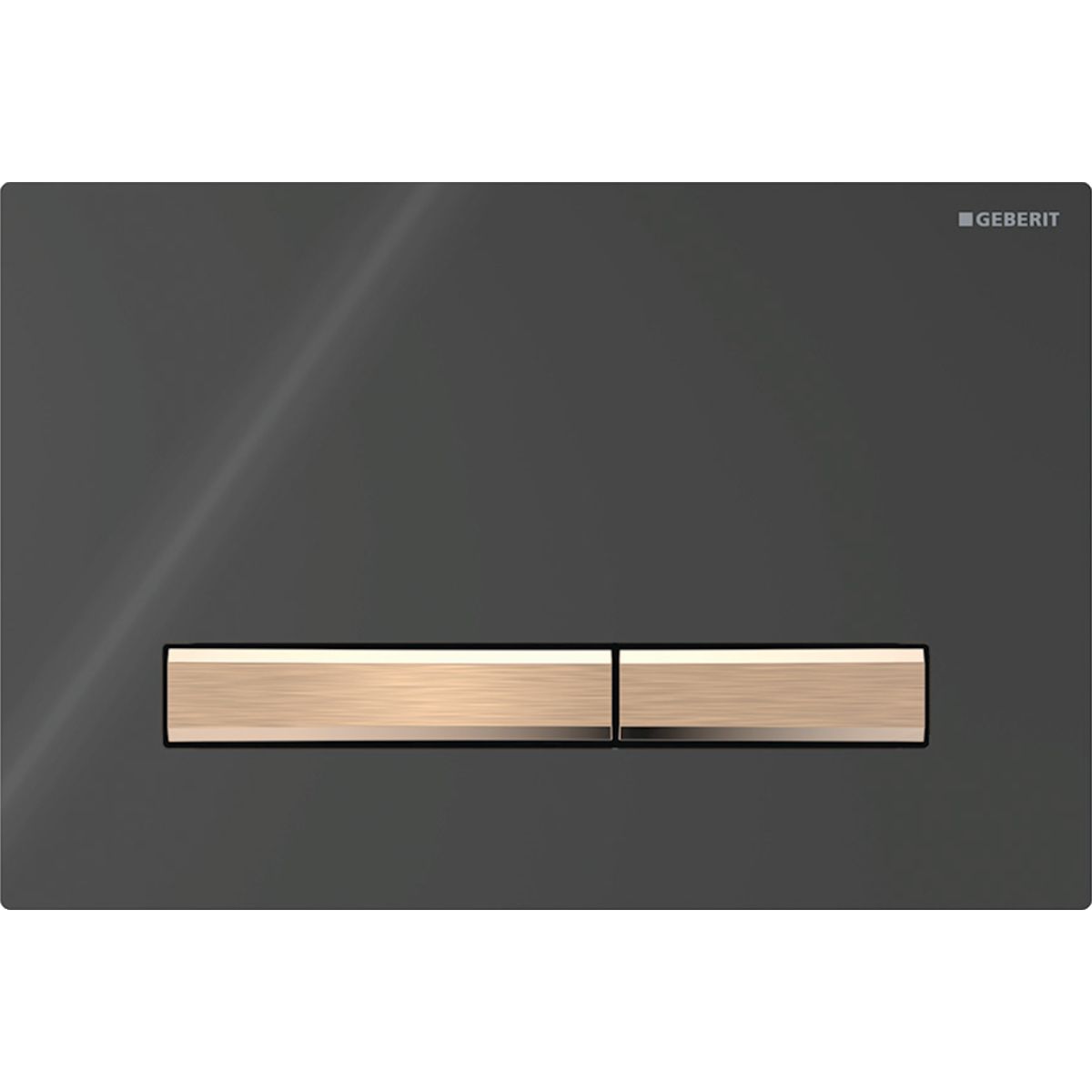 Geberit Sigma50 Ovládacie tlačidlo čierne 115.670.DW.2