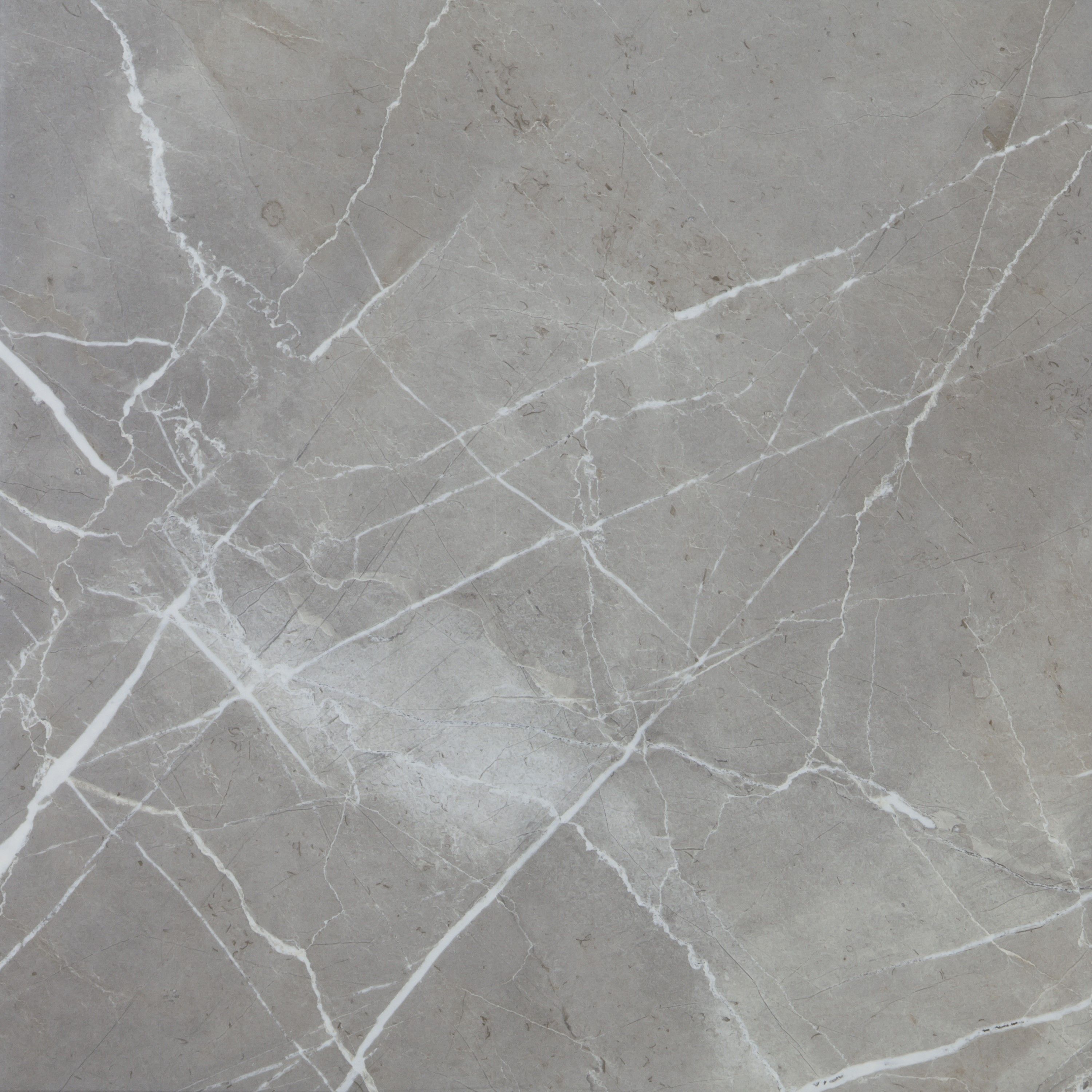 EBS Atelier Muse dlažba 60x60 grey rekt.