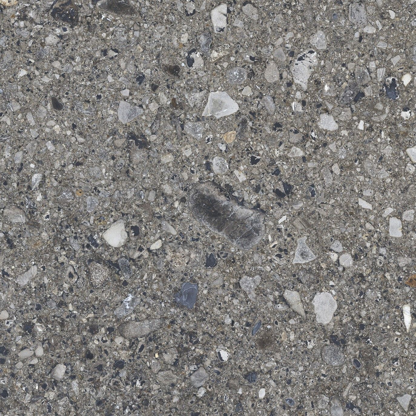 EBS Terrazzo dlažba 60x60 grafit matná