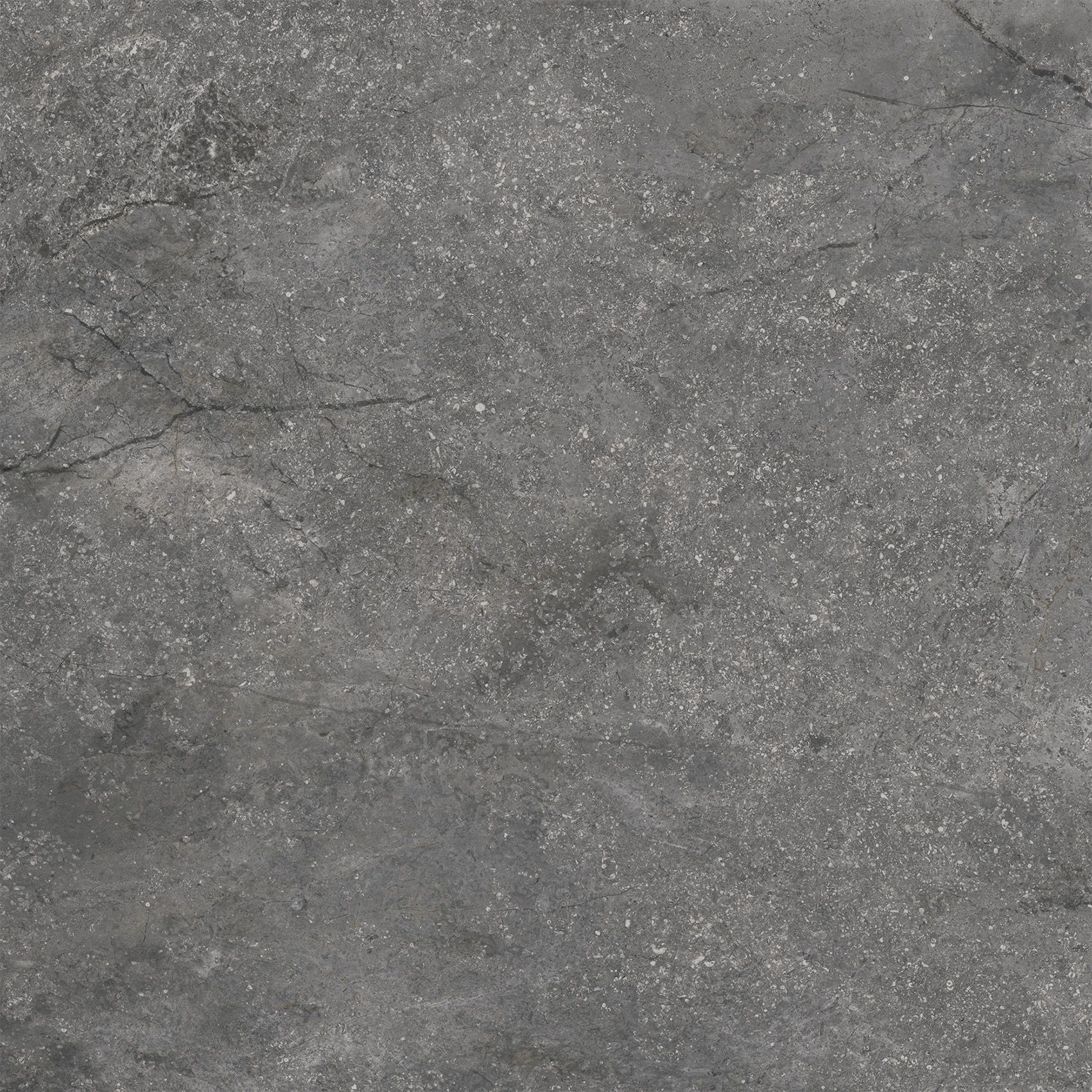 EBS Wells dlažba 60x60 ash lesklý