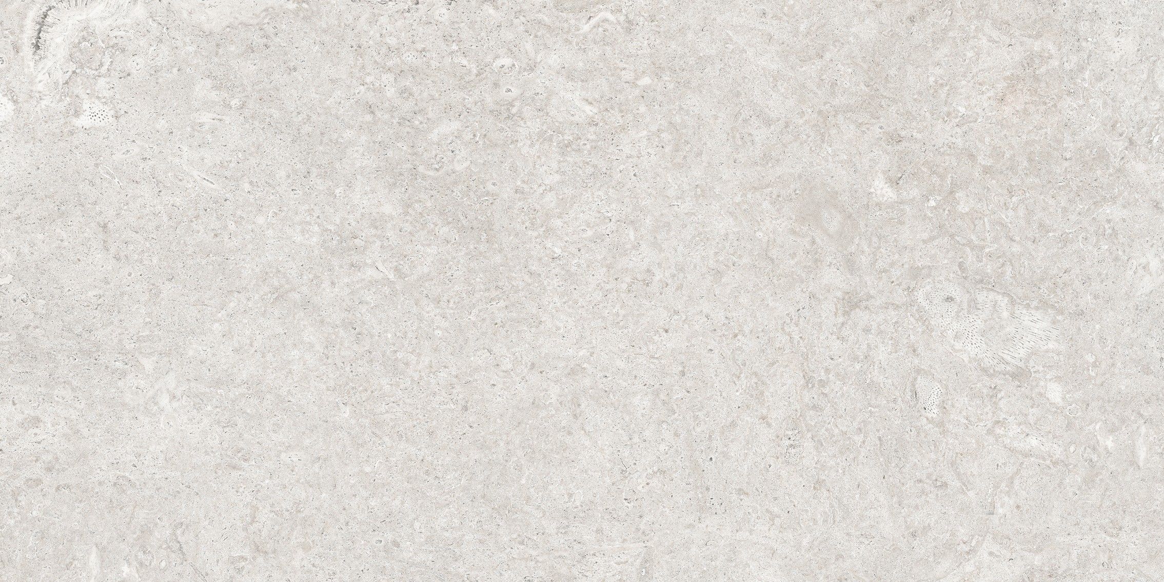 EBS Coralstone dlažba 60x120 perla matná