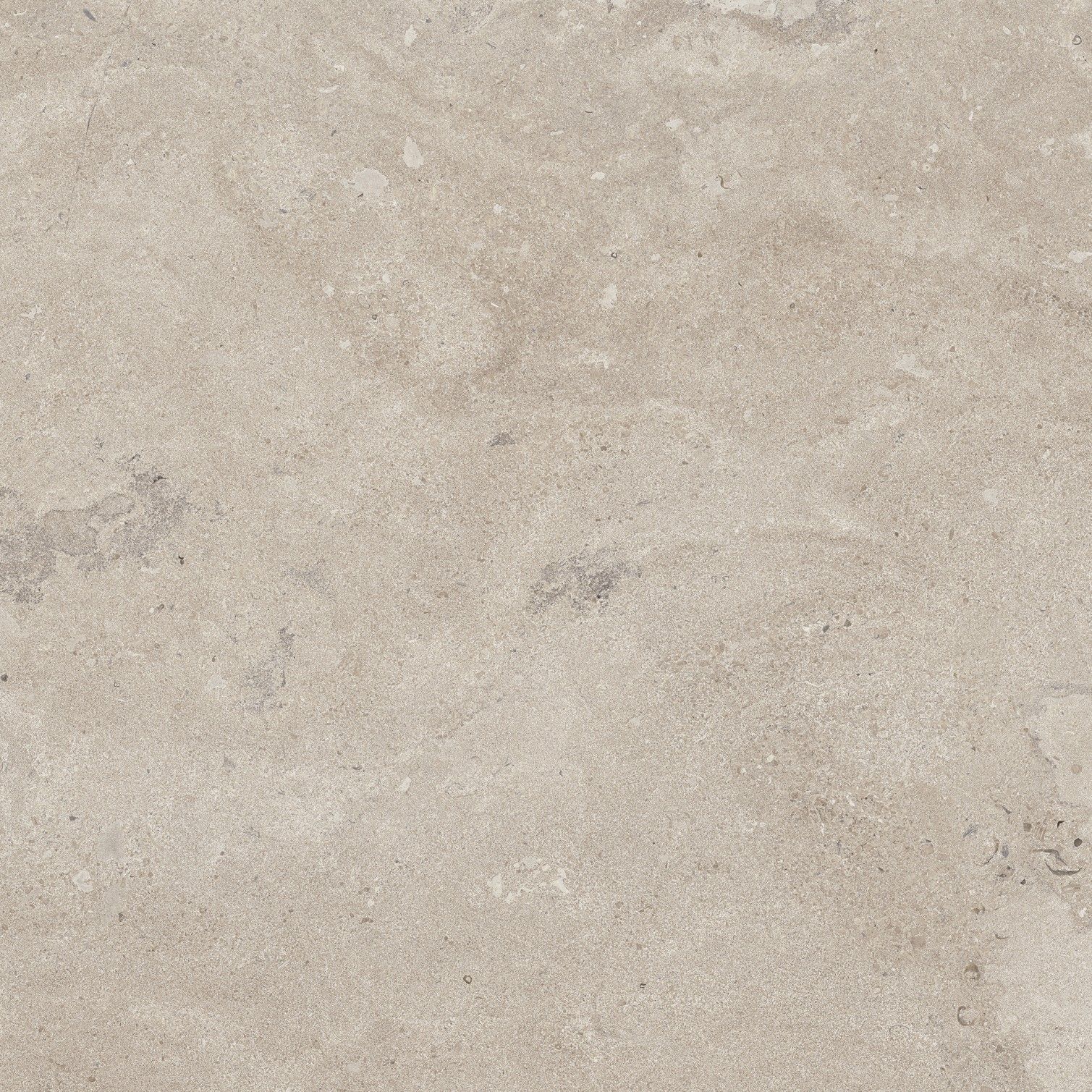 EBS Portlandstone dlažba 100x100 taupe matná