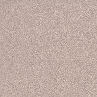Rako Taurus Granite TAA25068 dlaždica 19,8x19,8 hnedosivá 8 mm ABS