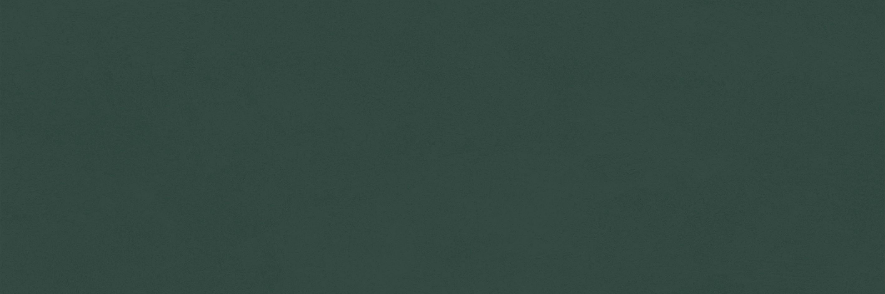 EBS Chromatic obklad 33,3x100 green matný