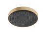 Hansgrohe Rainfinity Hlavová sprcha 360 Brushed Bronze 26231140