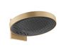 Hansgrohe Rainfinity Hlavová sprcha 360 3jet s pripojením na stenu Brúsený bronz 26234140