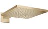 Hansgrohe Raindance E hlavová sprcha 30 cm, brúsený bronz 26238140