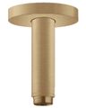 Hansgrohe Stropné rameno 10 cm, brúsený bronz 27393140