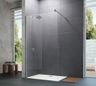EBS Trend New Walk-In 100 cm, stříbrná TRENDW100S